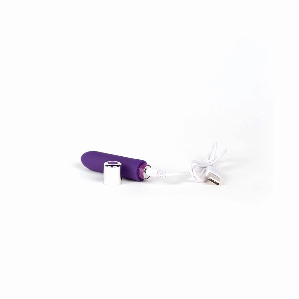 Bullet Bam Mini Vibrator
