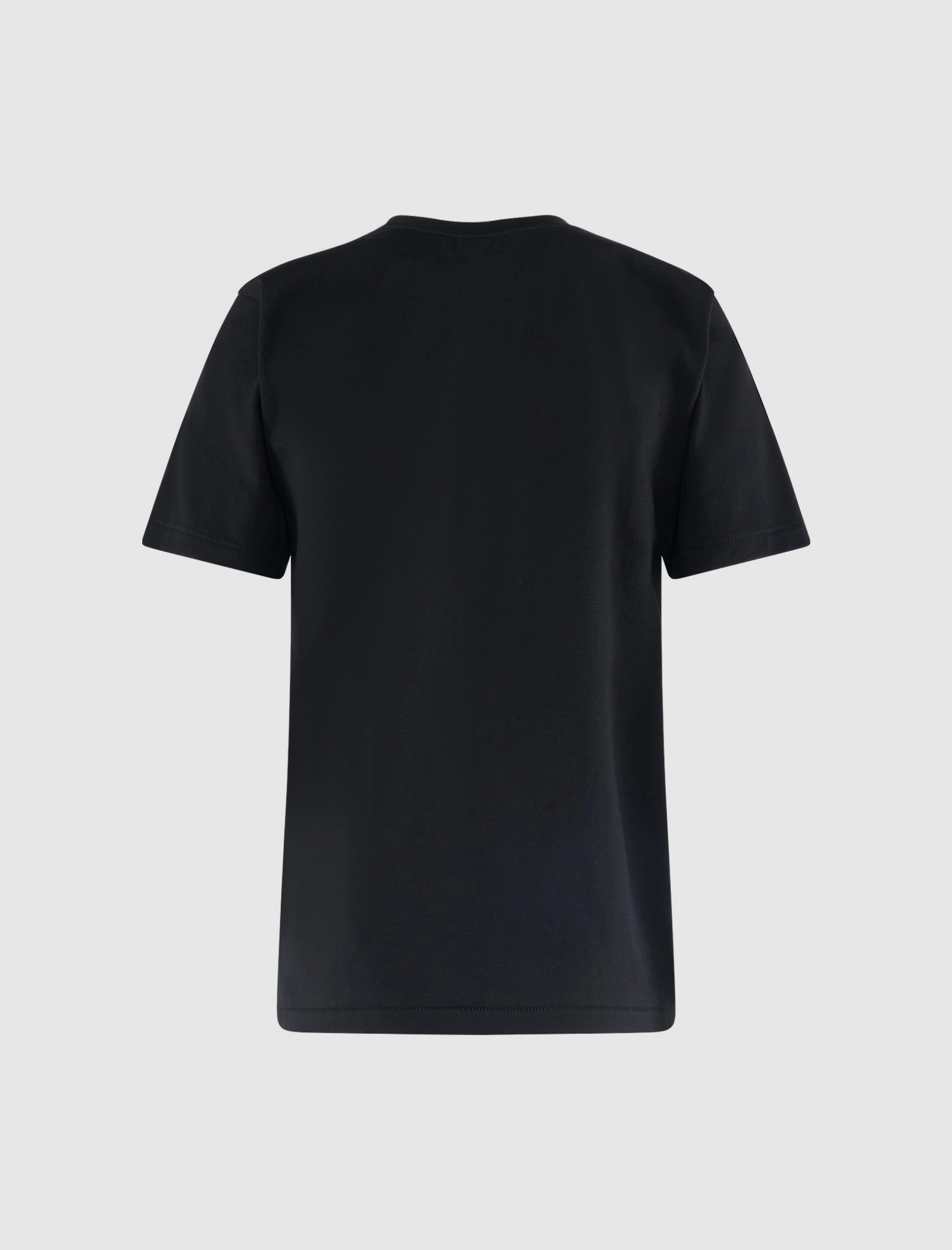 WOMEN'S GRADATION BIG BABY MILO TEE